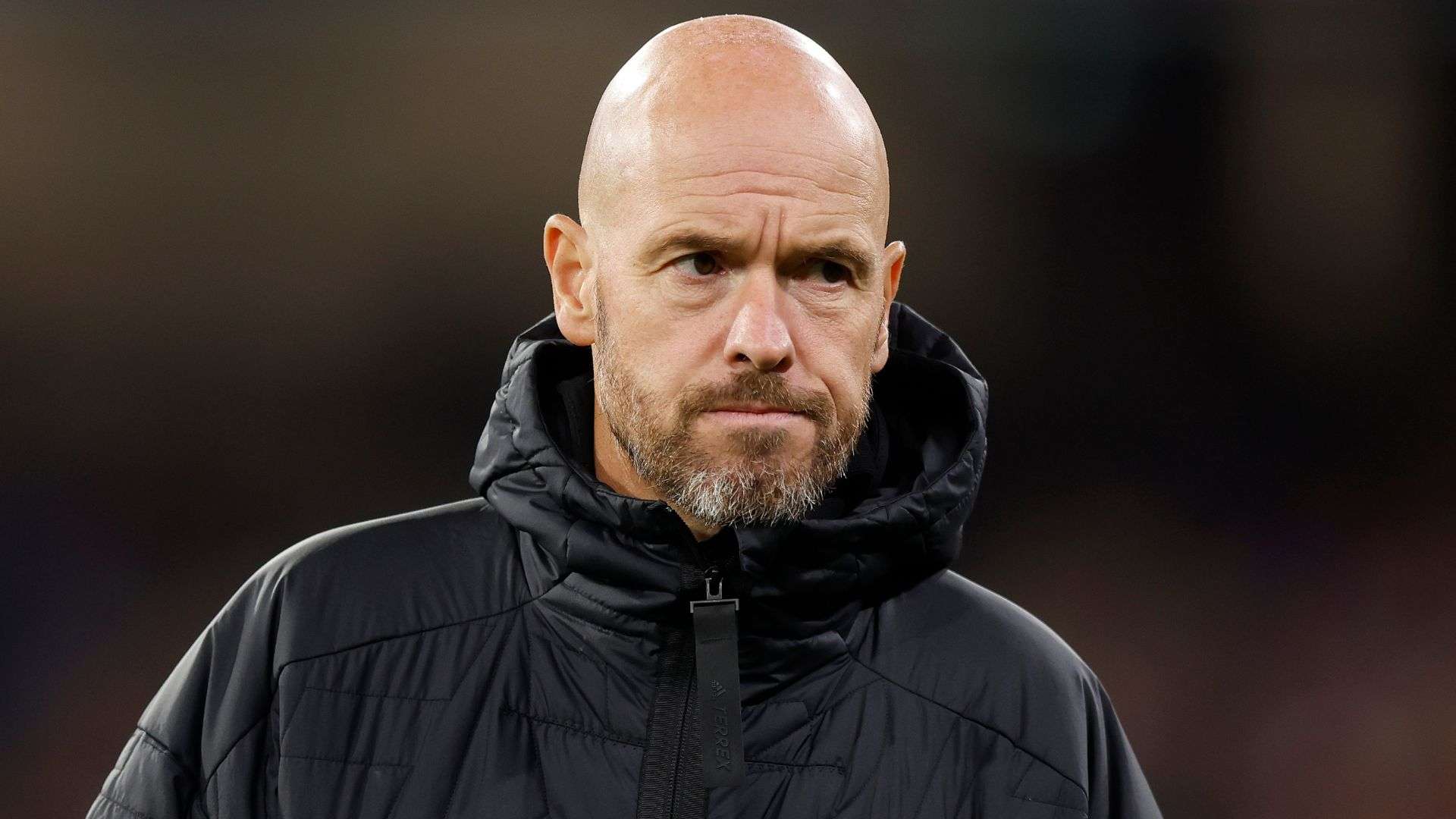 菜鸟主帅的 菜鸟主帅的