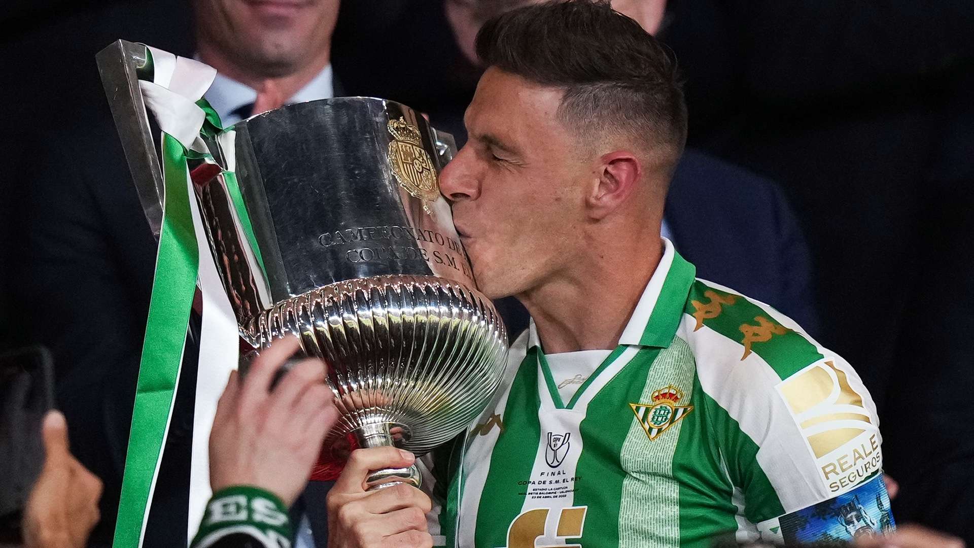 域和元素的 域和元素的